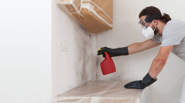 Professional Mold Inspection And Testing technician working in Central Lake, MI